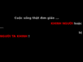 toiphaigiau.net