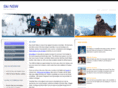 ski-nsw.com.au