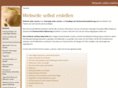 webseite-selbst-erstellen.de