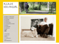klausedlinger.com
