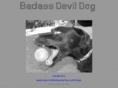 badassdevildog.com