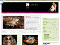 c-magazin.com