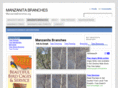 manzanitabranches.org