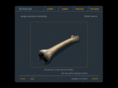 3d-raum.com