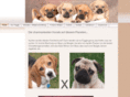 puggle-welpen.com