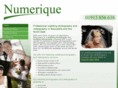 numerique.co.uk