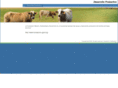 desarrolloproductivo.org