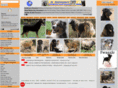 dogbreeder-best.eu