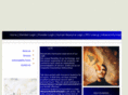 inssys.net