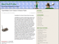 best-golf-putter.com