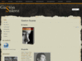 gastonsuarez.com
