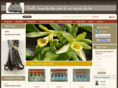 vanillavn.com