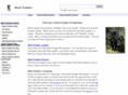 blackpantheranimal.com