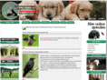 tierschutzverein.at