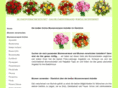 blumenverschicken.net