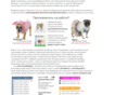xy4-anonymizer.ru