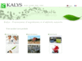 kalys.com
