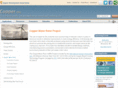 copper-motor-rotor.com