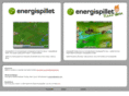 energispillet.com