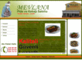 mevlanapidekebap.com