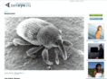 neteye.ru