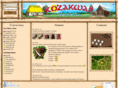 kozakwar.com