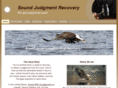 soundjudgment.net