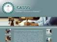 cassoconsulting.com