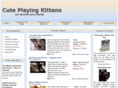 playing-kittens.info