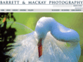 barrettmackay.com