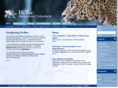 hitec-consult.de