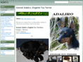 adaliro.com