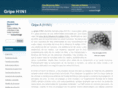 gripeh1n1.com