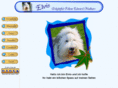 oes-elvis.com