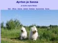 ayrtonjasenna.com