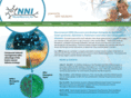 neuronascent.com