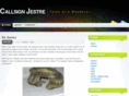 jestre.com