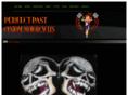 perfectpastcustommotorcycles.com