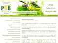 olio-extravergine-oliva.com