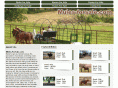 mules-forsale.com