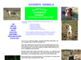 goodbyekennels.com