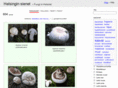petriroponen.com
