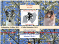 collieclub.ch