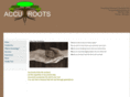 accuroots.com