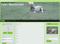 tylermacdonald.com