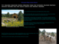pinnaclepeakllamaranch.com