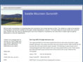 saddlemountaingunsmith.com