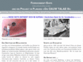 ferrocement-ships.com
