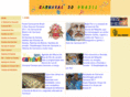 carnavaldobrasil.com.br