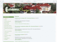 saltikovka.com